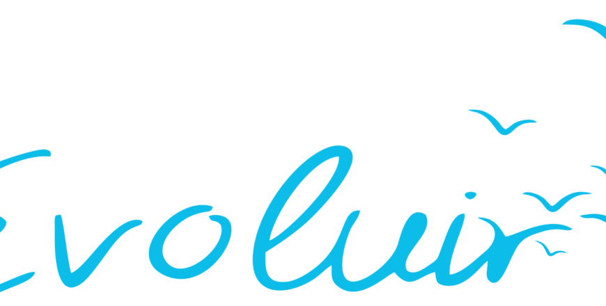 EvoluirLogo 2